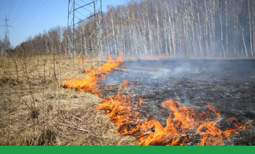 Fire below power lines